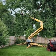 Best Commercial Tree Services  in Kayenta, AZ